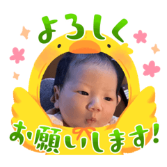 Hana_20230315082009