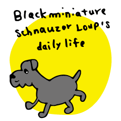 Black schnauzer LOUP7s daily life