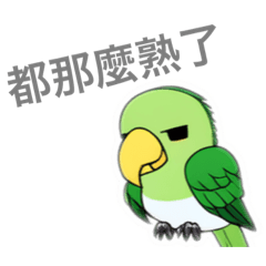 綠綠小鸚鵡