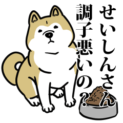 せいしんリスペクト（プラチナ）