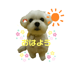 yuka_20230314230023