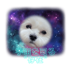 Omochi_20230314232732
