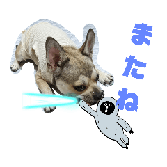HANA_20230314223938