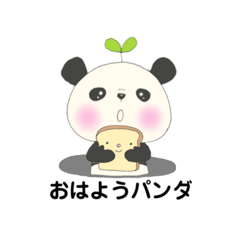 charming panda THA