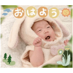 SAKURA_20230315173547