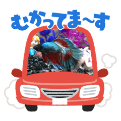 arisa_20230316033410