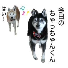 Shiho_20230315182237