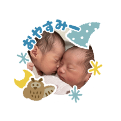 shiho_20230316014946