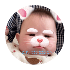 sakura_20230315210003