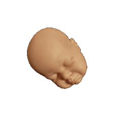 ruru_20230315210453