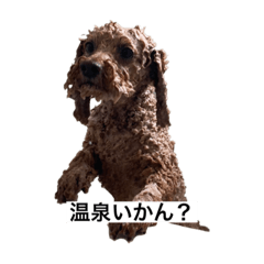 SAKURA_20230316113428