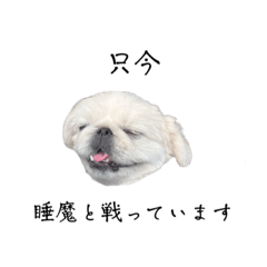 Hikari_20230315223517