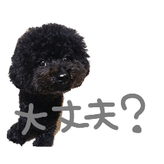 peco_20230315225223
