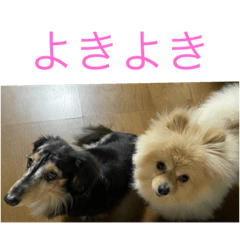 Nao_20230315230231