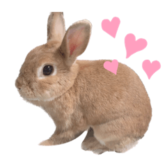 yuka_20230315232631