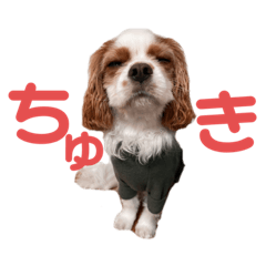 sakkolo_20230316141746