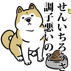 せんいちろうリスペクト（プラチナ）