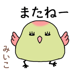 miiko the world of birds