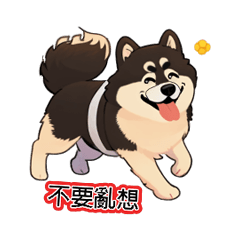 cute dog happy day1