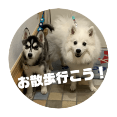 megupisu_20230316134340