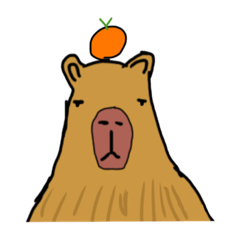 Capybara&orange
