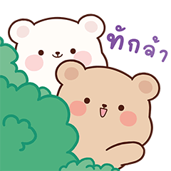 คัสซึ & คุมิ คู่ซี้มะหมี