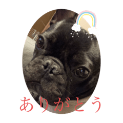 ruru_20230316152617