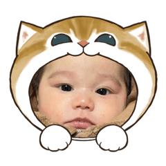 はやはるぴなた