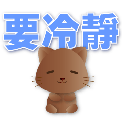 Cute Chocolate cat- Practical phrase