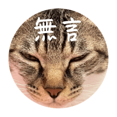 妮妮迪迪日常用語