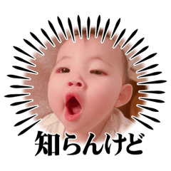 hana11m