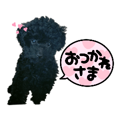 mizuki_20230317100631