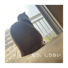 yuga_20230316224833