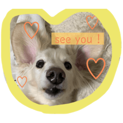 arisa_20230316225847