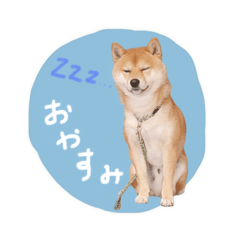 Sakura_20230316232026