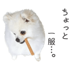 yukari_20230317003049