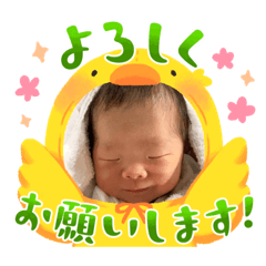 aoi_20230316221437
