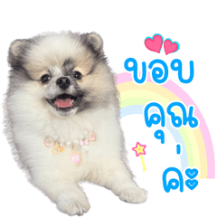 LookSaw Bi-O – LINE stickers | LINE STORE