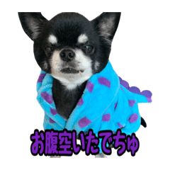 shiho_20230316225833