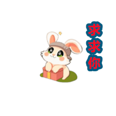 funny cute rabbits