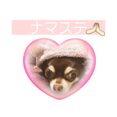 hana_20230317142525