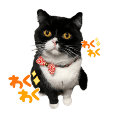 alice_20230317151909