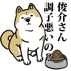 俊介リスペクト（プラチナ）