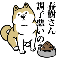 春樹リスペクト（プラチナ）