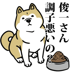 俊一リスペクト（プラチナ）