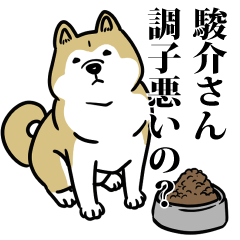 駿介リスペクト（プラチナ）