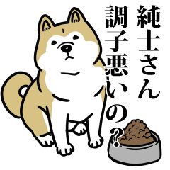 純士リスペクト（プラチナ）
