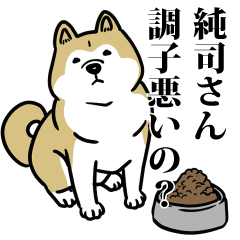 純司リスペクト（プラチナ）