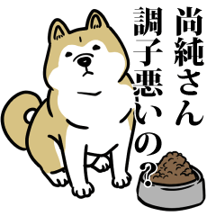 尚純リスペクト（プラチナ）