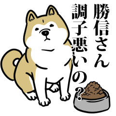 勝信リスペクト（プラチナ）